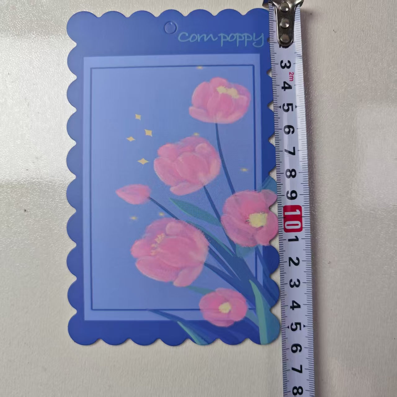 R024  5枚/紙台紙＋包装袋セット
